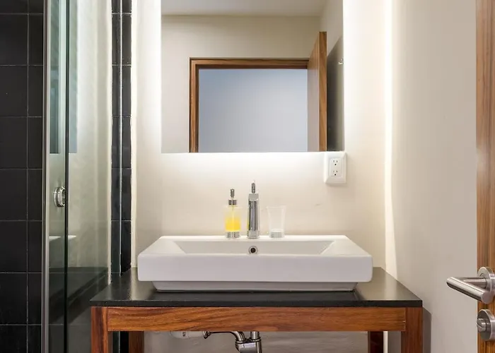 Loft Con Terraza Polanco - Pino Apartment