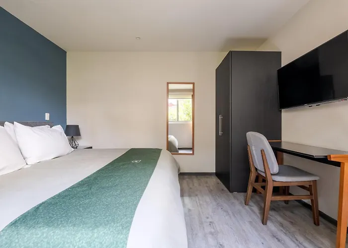 Loft Con Terraza Polanco - Pino Apartment Mexico City