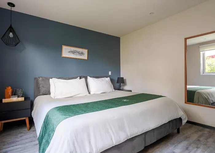 Loft Con Terraza Polanco - Pino