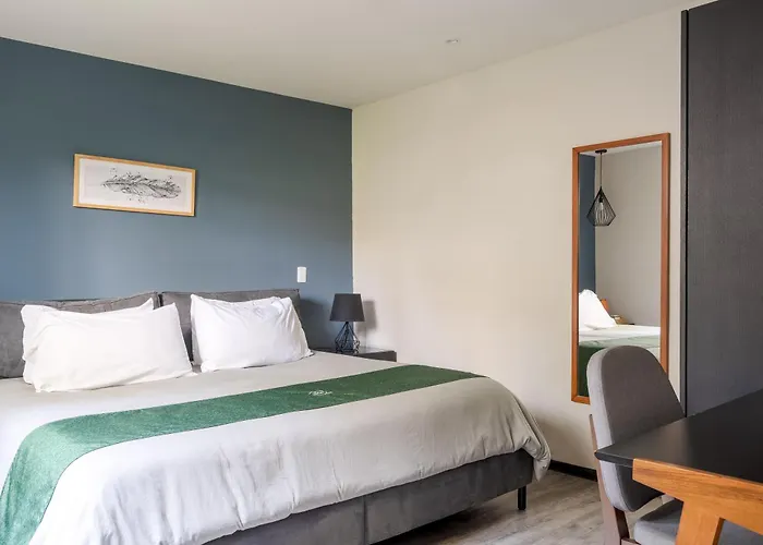 Loft Con Terraza Polanco - Pino Apartment *