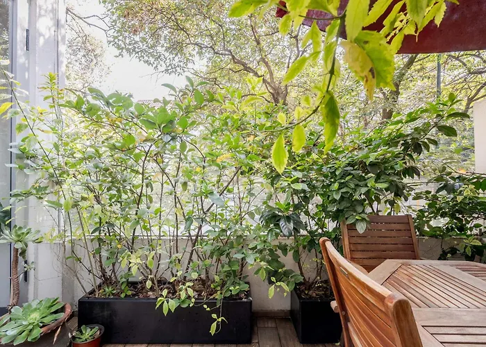 Loft Con Terraza Polanco - Pino *